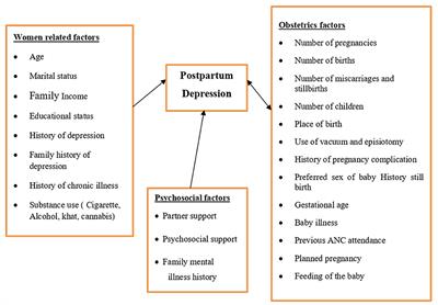 Determinants of postpartum depression among mothers in Debre Tabor town, North-central, Ethiopia: Community-based unmatched case-control study